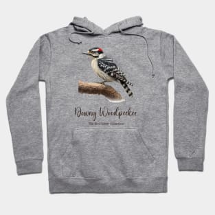 Downy Woodpecker - The Bird Lover Collection Hoodie